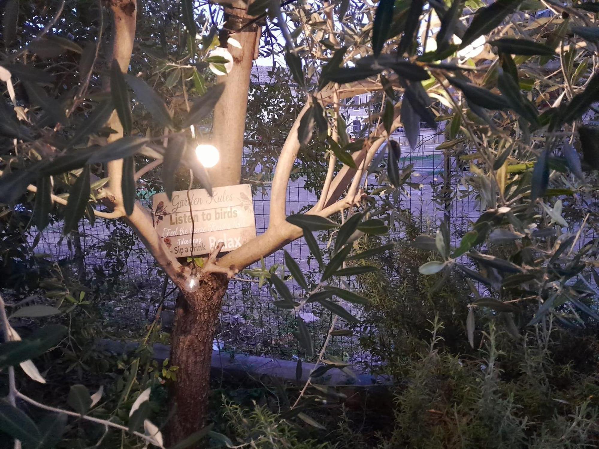Casita Esperanza Daire Copparo Dış mekan fotoğraf